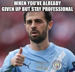 Stay professional memes